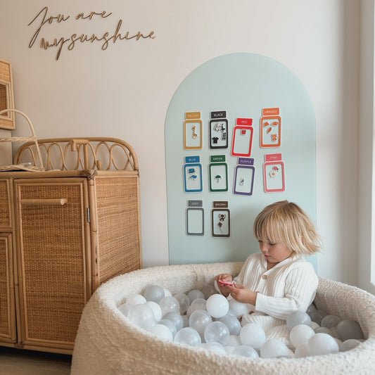 Ultimate Boy Bundle | Magnetic Toys, Felt Books & PlayWall for Boys - Smartypals